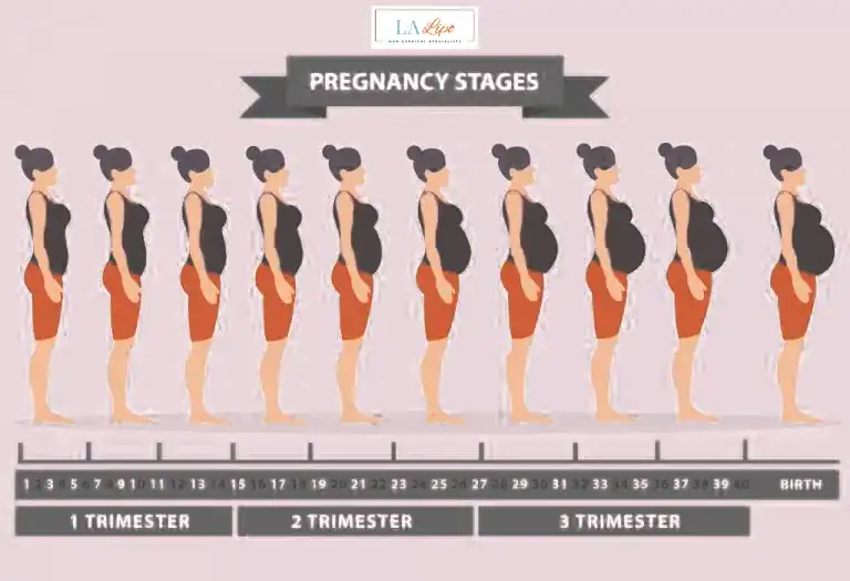First Trimester (Weeks 1–12): Early Changes You Might Not Notice Greater London (Brent)